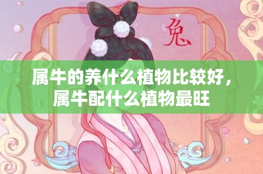 属牛的养什么植物比较好，属牛配什么植物最旺