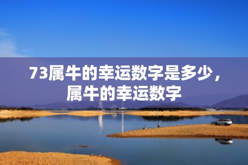 73属牛的幸运数字是多少，属牛的幸运数字
