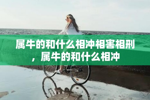 属牛的和什么相冲相害相刑，属牛的和什么相冲