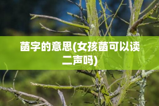 菡字的意思(女孩菡可以读二声吗)