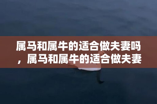 属马和属牛的适合做夫妻吗，属马和属牛的适合做夫妻吗