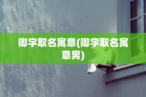 卿字取名寓意(卿字取名寓意男)