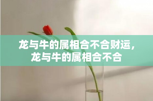 龙与牛的属相合不合财运，龙与牛的属相合不合