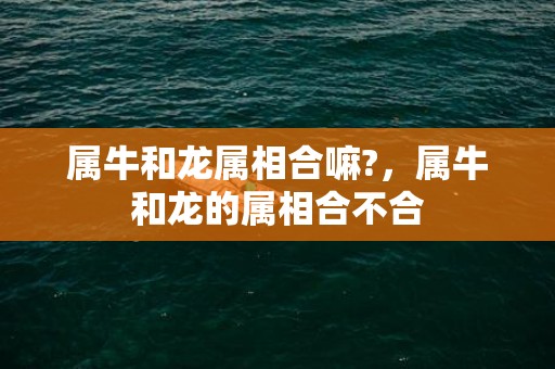 属牛和龙属相合嘛?，属牛和龙的属相合不合
