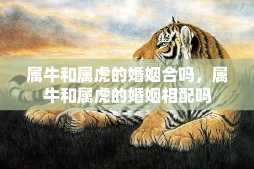 属牛和属虎的婚姻合吗，属牛和属虎的婚姻相配吗