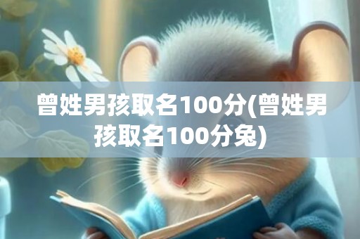 曾姓男孩取名100分(曾姓男孩取名100分兔)