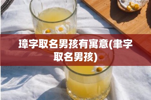 璋字取名男孩有寓意(聿字取名男孩)