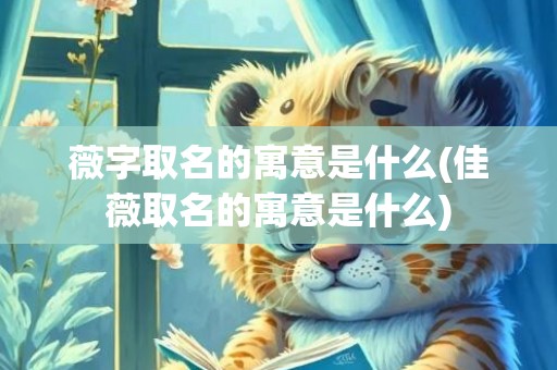 薇字取名的寓意是什么(佳薇取名的寓意是什么)
