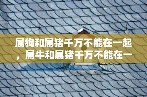 属狗和属猪千万不能在一起，属牛和属猪千万不能在一起吗