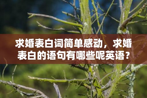 求婚表白词简单感动，求婚表白的语句有哪些呢英语？表白的句子给喜欢的人英语