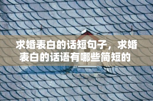 求婚表白的话短句子，求婚表白的话语有哪些简短的 表白话语