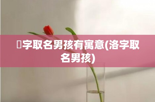 珅字取名男孩有寓意(洛字取名男孩)