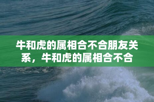 牛和虎的属相合不合朋友关系，牛和虎的属相合不合