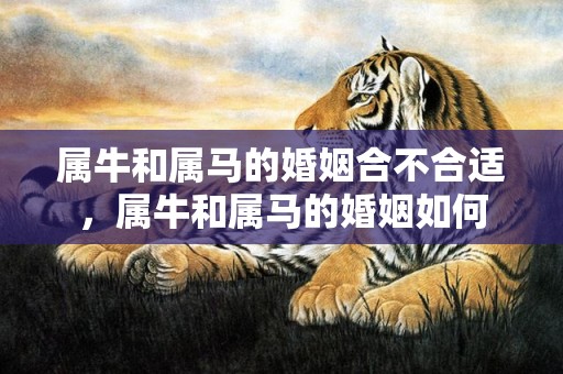 属牛和属马的婚姻合不合适，属牛和属马的婚姻如何