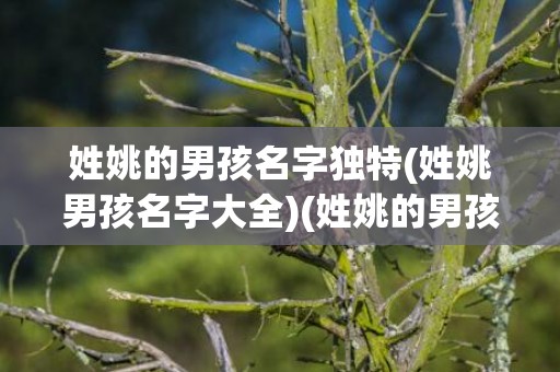 姓姚的男孩名字独特(姓姚男孩名字大全)(姓姚的男孩名字有诗意)