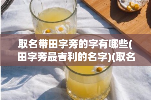 取名带田字旁的字有哪些(田字旁最吉利的名字)(取名带田字旁的字有哪些)