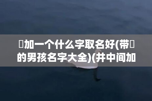赟加一个什么字取名好(带赟的男孩名字大全)(井中间加一点什么字)