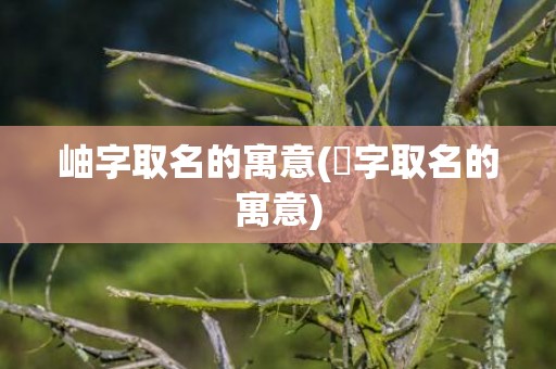 岫字取名的寓意(旸字取名的寓意)