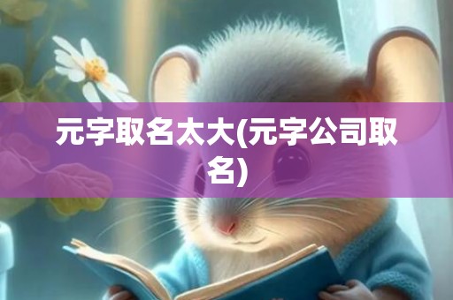 元字取名太大(元字公司取名)