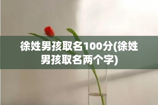 徐姓男孩取名100分(徐姓男孩取名两个字)