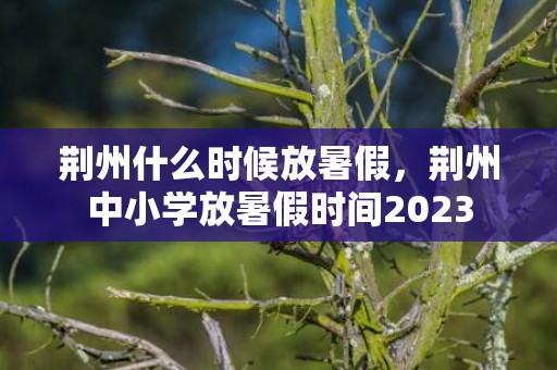 荆州什么时候放暑假，荆州中小学放暑假时间2023