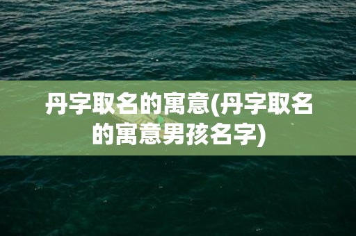 丹字取名的寓意(丹字取名的寓意男孩名字)