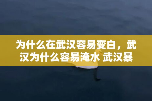 为什么在武汉容易变白，武汉为什么容易淹水 武汉暴雨最新消息2023