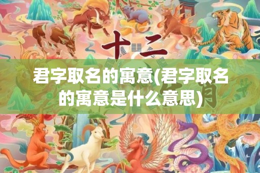 君字取名的寓意(君字取名的寓意是什么意思)
