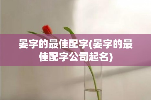 晏字的最佳配字(晏字的最佳配字公司起名)