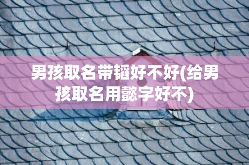 男孩取名带韬好不好(给男孩取名用懿字好不)