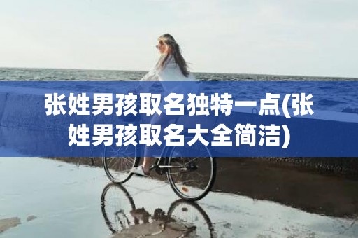 张姓男孩取名独特一点(张姓男孩取名大全简洁)