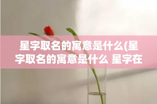 星字取名的寓意是什么(星字取名的寓意是什么 星字在名字的含义)
