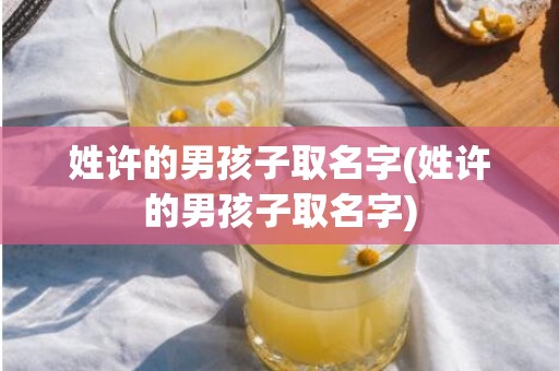 姓许的男孩子取名字(姓许的男孩子取名字)