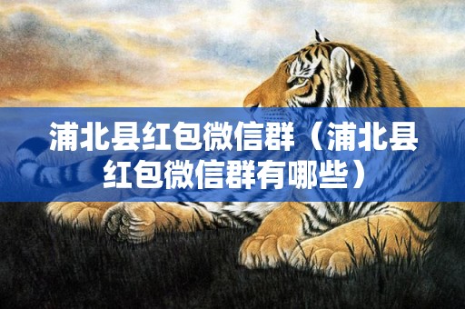 浦北县红包微信群（浦北县红包微信群有哪些）