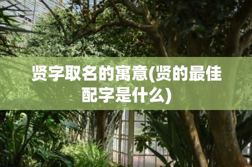 贤字取名的寓意(贤的最佳配字是什么)