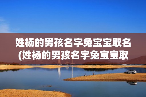 姓杨的男孩名字兔宝宝取名(姓杨的男孩名字兔宝宝取名寓意好吗)