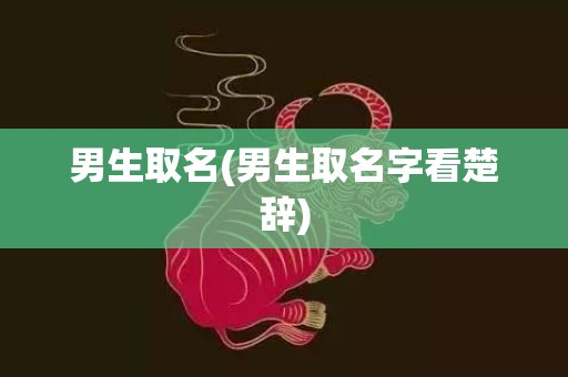 男生取名(男生取名字看楚辞)