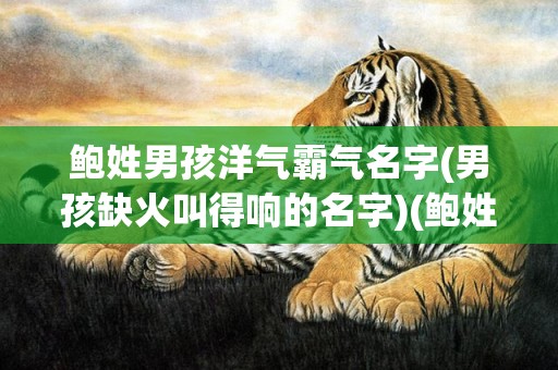 鲍姓男孩洋气霸气名字(男孩缺火叫得响的名字)(鲍姓男孩洋气霸气名字三个字)