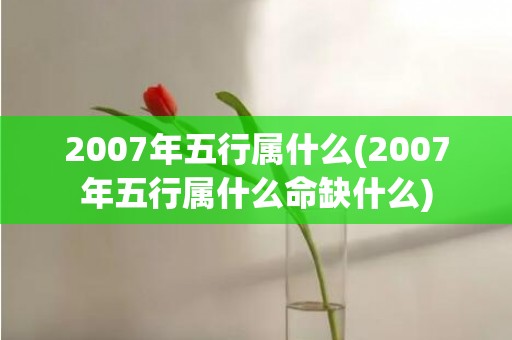 2007年五行属什么(2007年五行属什么命缺什么)