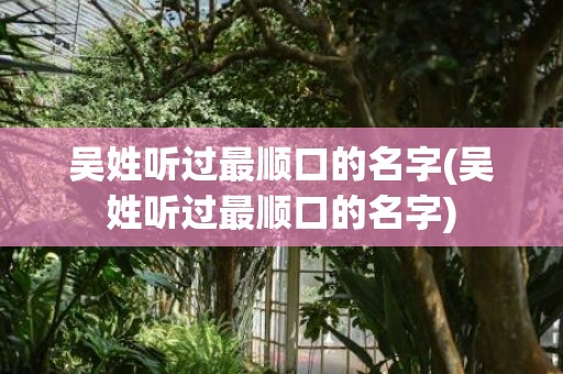 吴姓听过最顺口的名字(吴姓听过最顺口的名字)