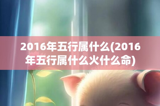 2016年五行属什么(2016年五行属什么火什么命)