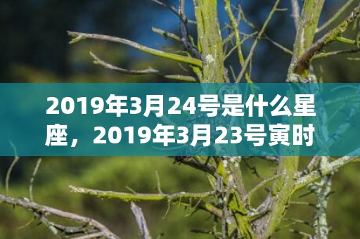 2019年3月24号是什么星座，2019年3月23号寅时出生的男孩如何起名
