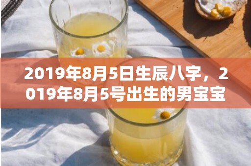 2019年8月5日生辰八字，2019年8月5号出生的男宝宝五行缺金要怎么起名字