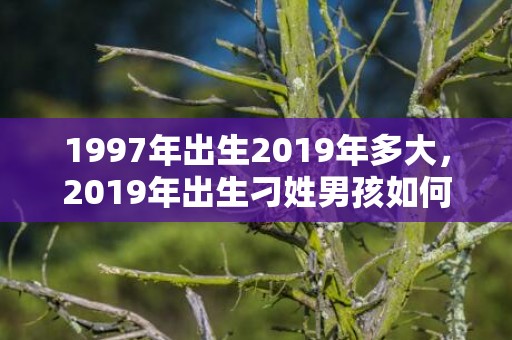 1997年出生2019年多大，2019年出生刁姓男孩如何起名字，姓刁男孩好听的名字