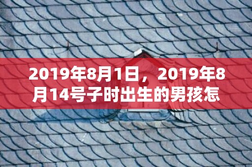 2019年8月1日，2019年8月14号子时出生的男孩怎么起名字？