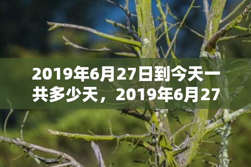 2019年6月27日到今天一共多少天，2019年6月27号丑时出生的男孩起名方法