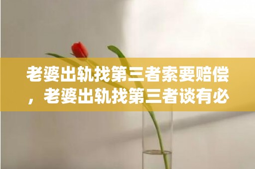 老婆出轨找第三者索要赔偿，老婆出轨找第三者谈有必要吗(可以起诉第三者破坏婚姻吗)
