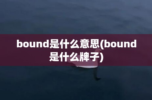 bound是什么意思(bound是什么牌子)
