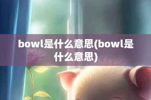 bowl是什么意思(bowl是什么意思)