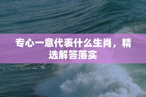 专心一意代表什么生肖，精选解答落实